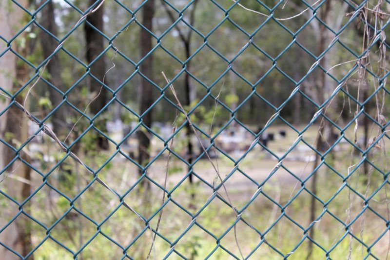 Wire Fence Painting in Waco, TX